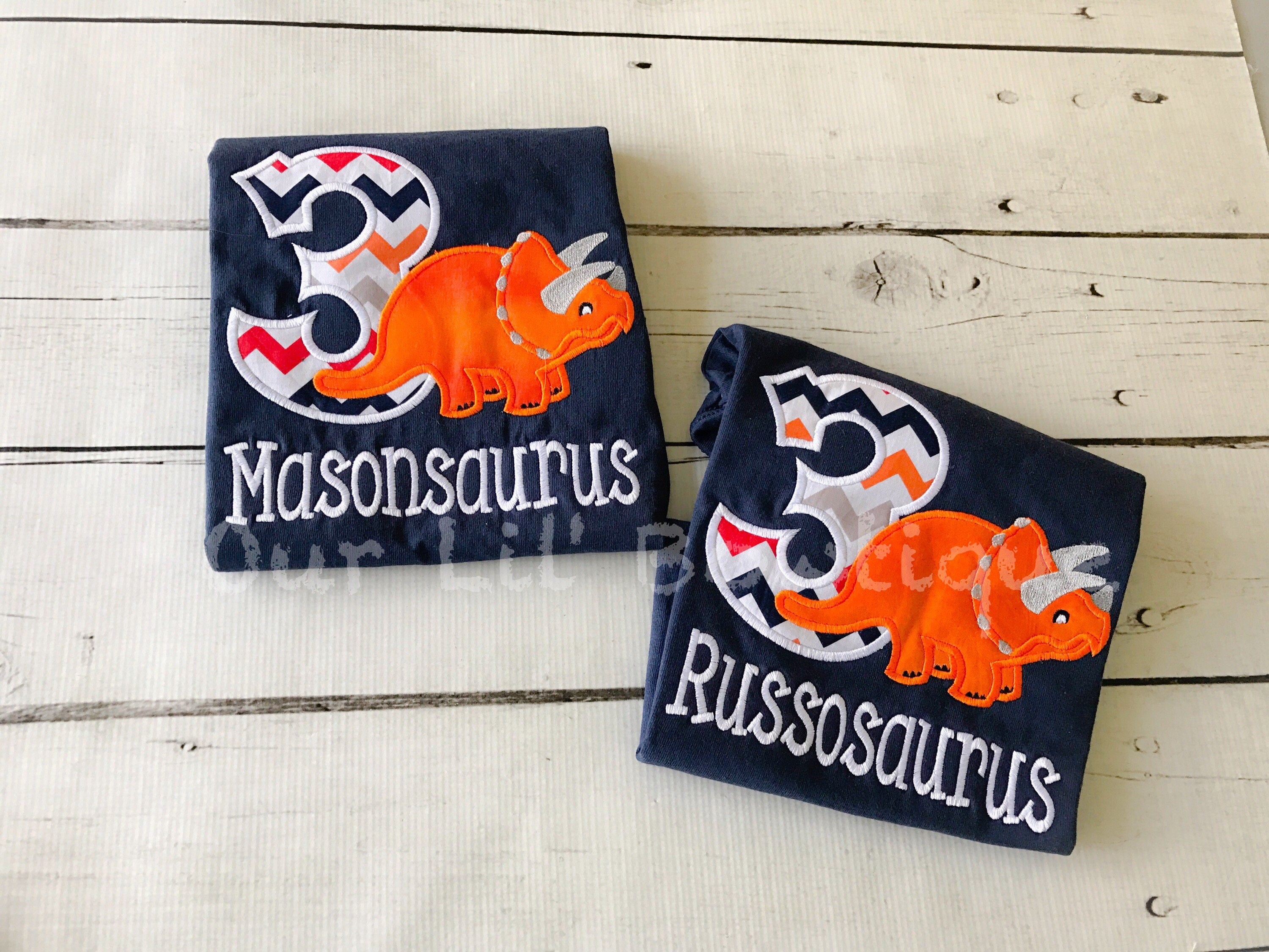 Personalized Dinosaur Birthday Shirt: Stegosaurus Party, Custom Age