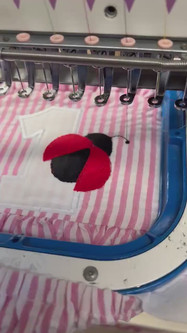 Monogrammed Seersucker Ladybug Bathing Suit: Baby Toddler Swimsuit