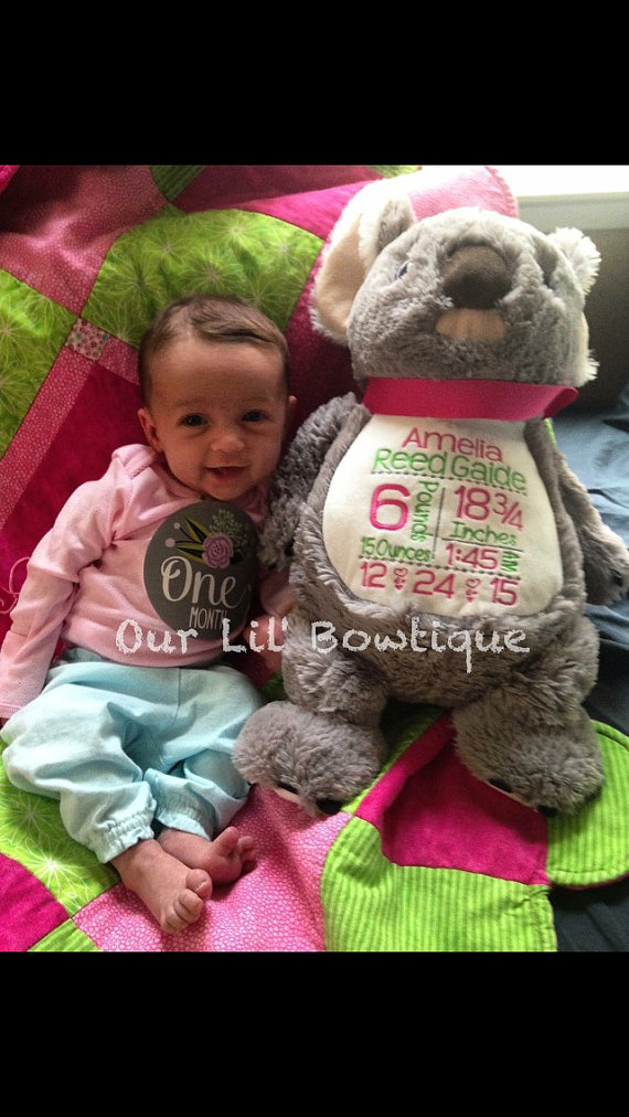 Koala - Personalized Stuffed Animal - Personalized Animal - Personalized Koala